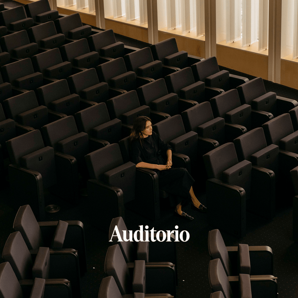 Auditorio_2